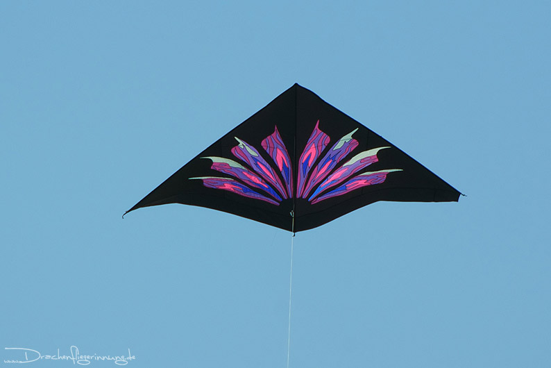 bild071