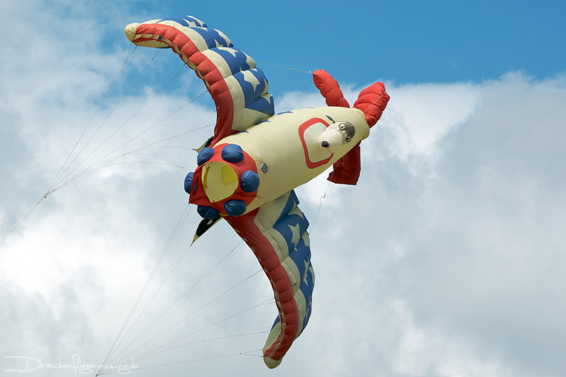 bild035