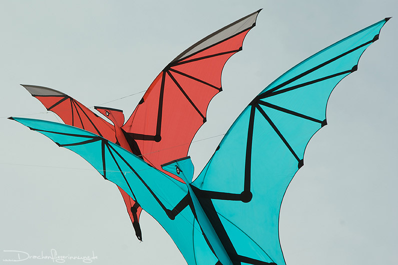bild038