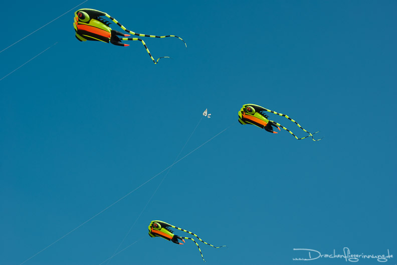 bild193