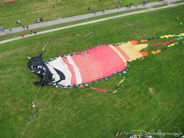 bild016