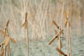 bild008
