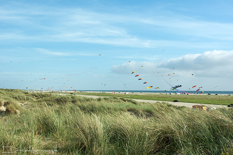 bild006