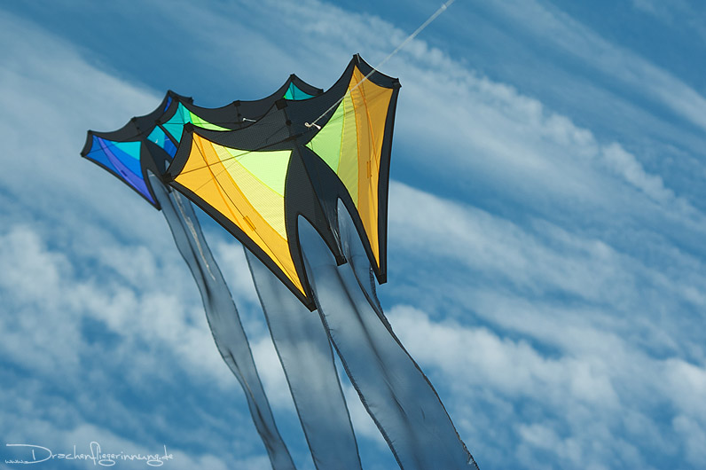 bild042