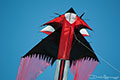 bild003