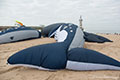 bild012