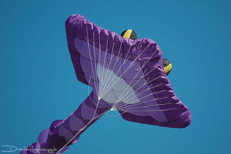 bild021