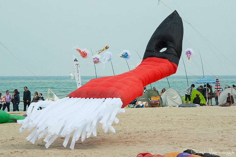 bild055