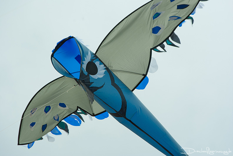 bild071
