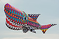 bild058