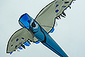 bild071