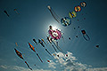 bild118
