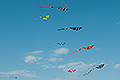 bild120