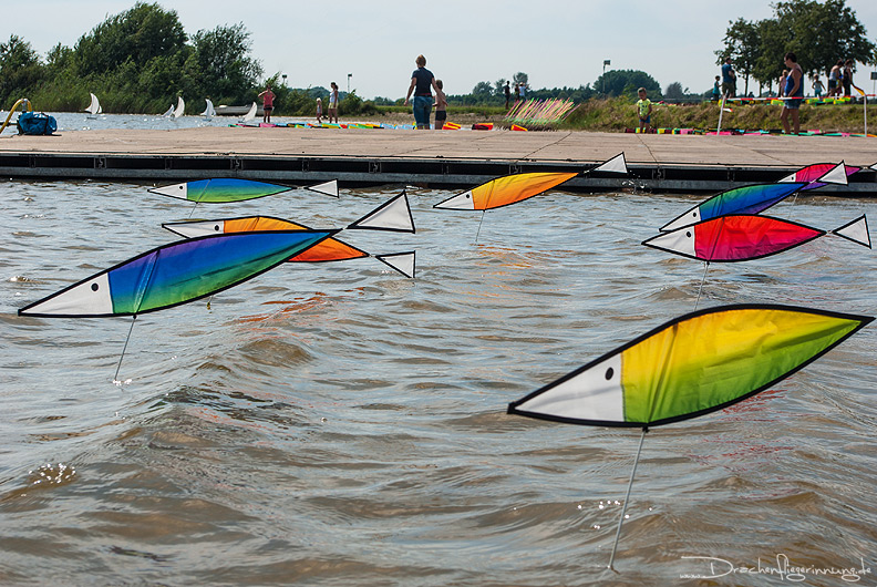 bild029