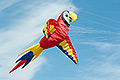 bild012
