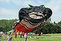 bild013
