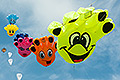 bild017