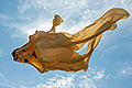 bild022