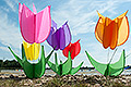 bild024