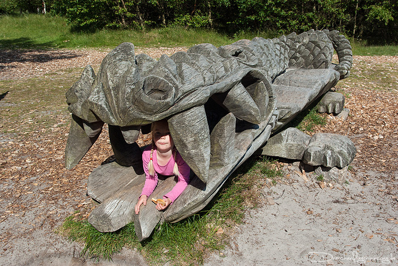 bild047