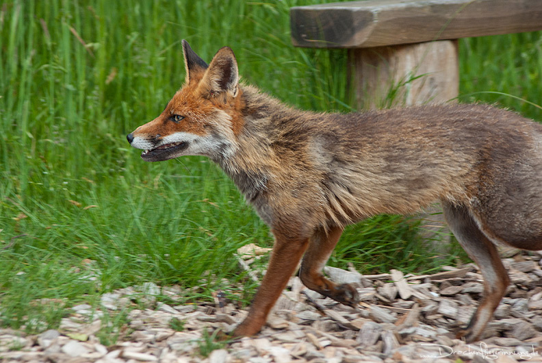 bild052