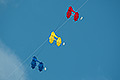 bild104