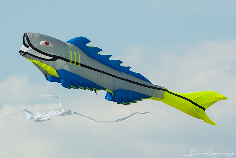 bild023