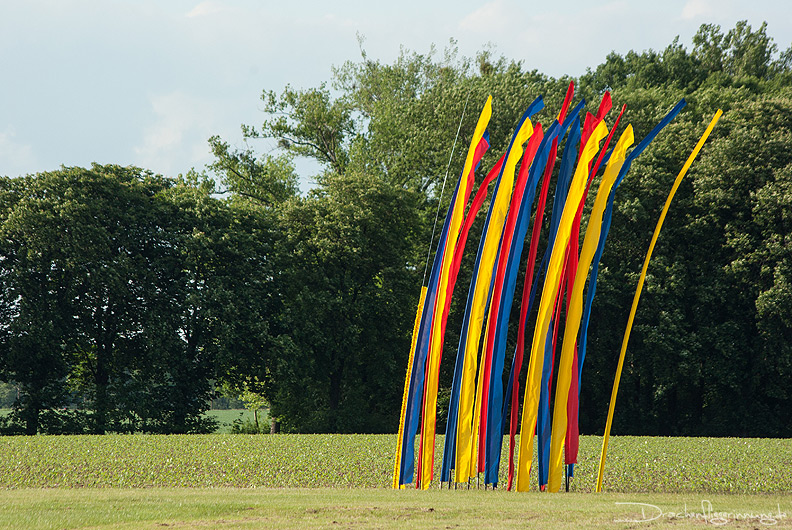 bild036