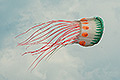 bild005