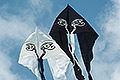bild024
