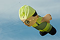 bild033