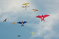 bild038