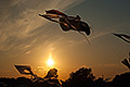 bild040