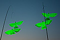 bild042