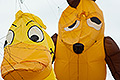 bild062