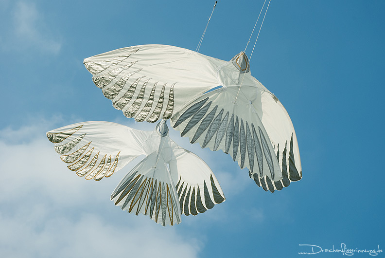 bild006