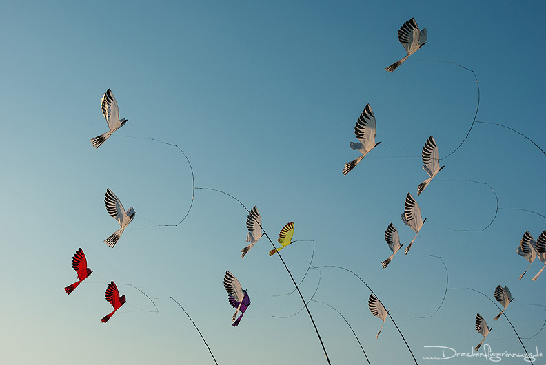 bild057