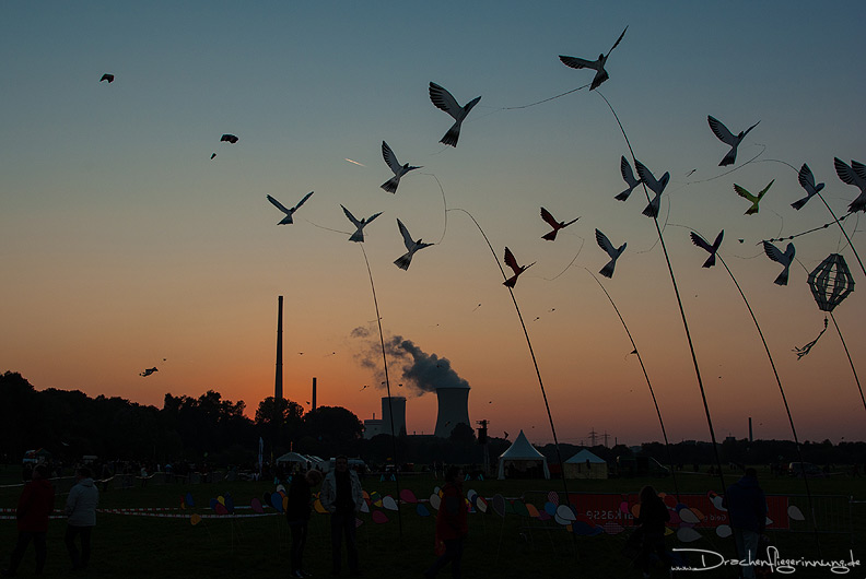 bild061