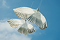 bild006