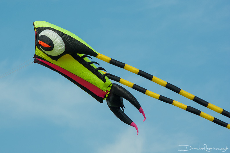 bild062