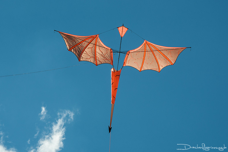 bild084