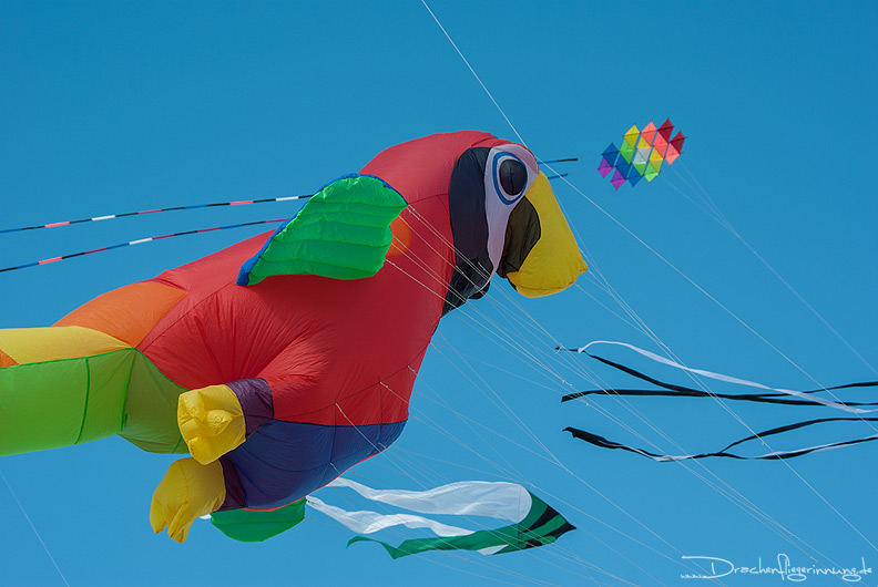 bild085
