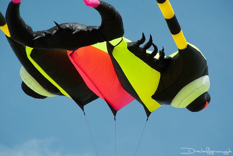 bild004