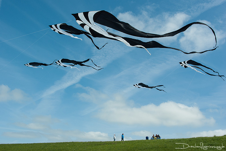 bild010