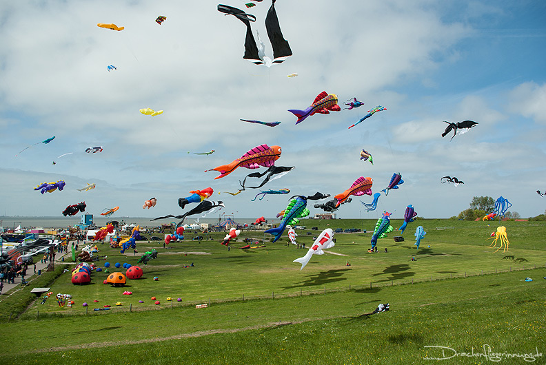 bild011
