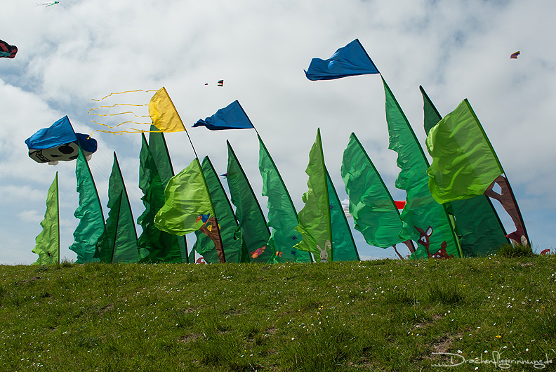 bild012