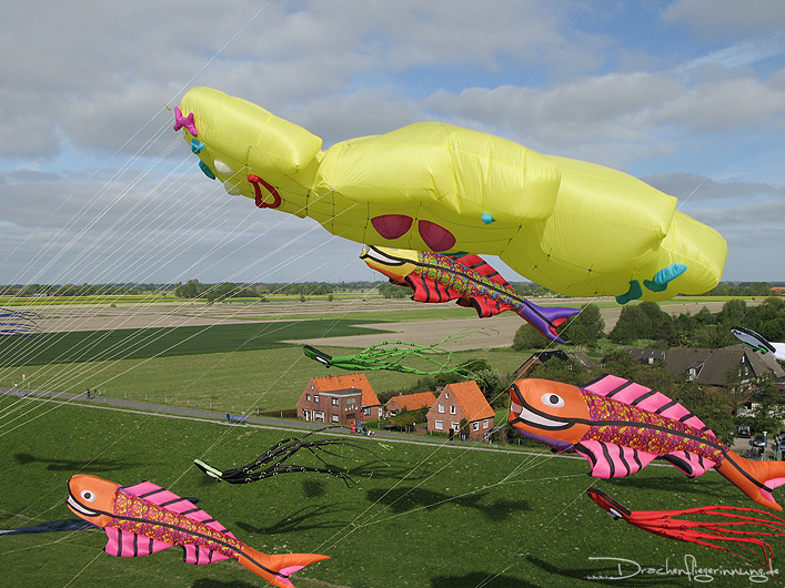bild024