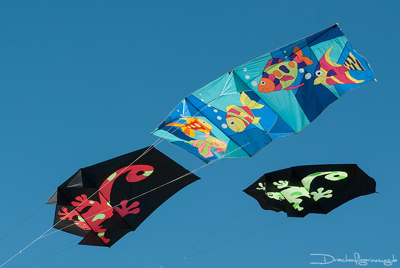 bild029