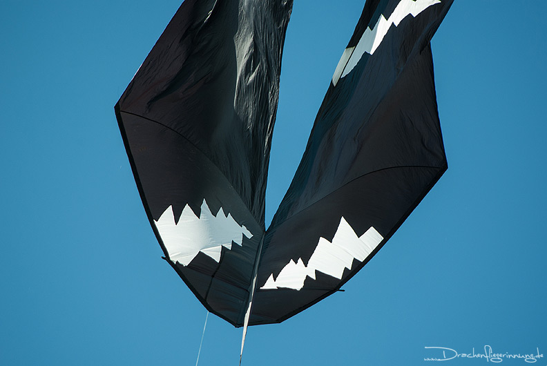 bild053
