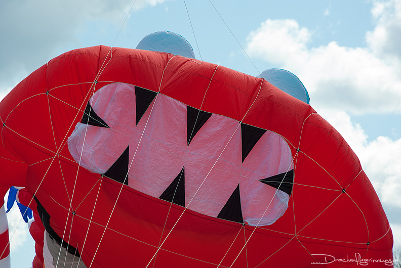 bild007